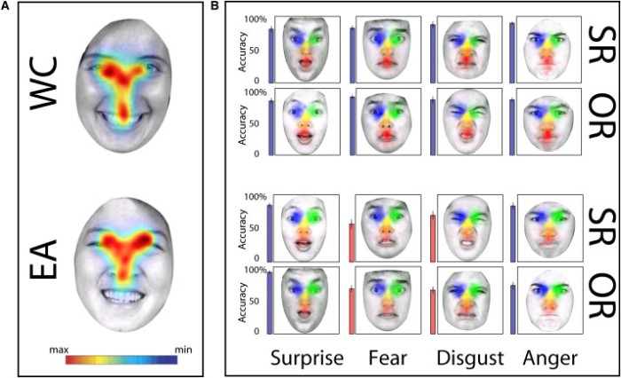 visual reception of emotions